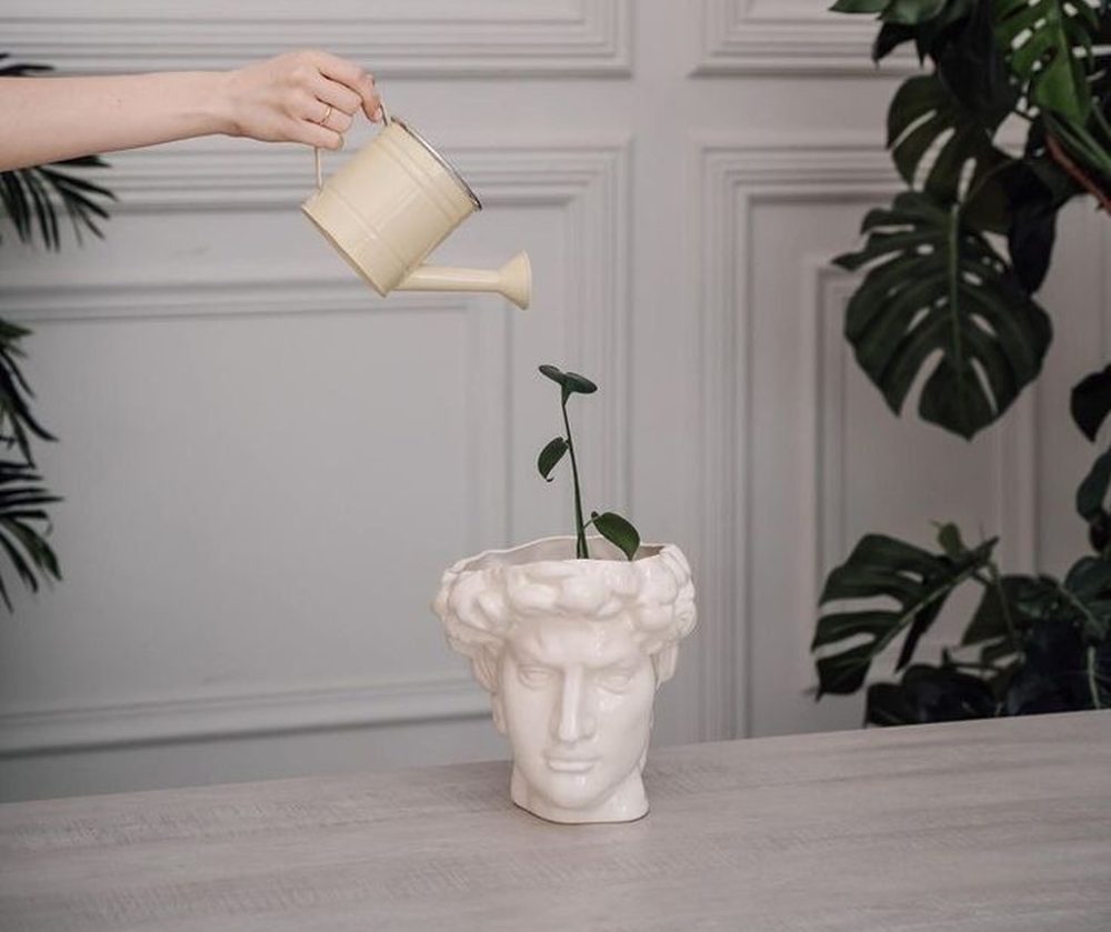 Eunoiax Psicología - Inicio - imagen e